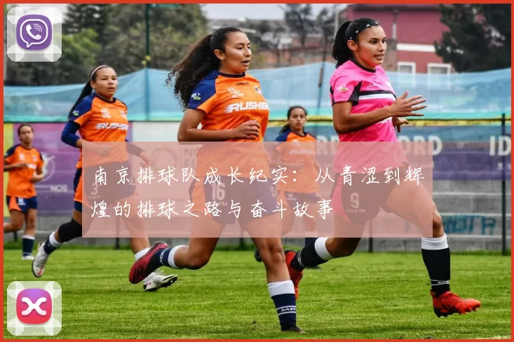 南京排球队成长纪实：从青涩到辉煌的排球之路与奋斗故事