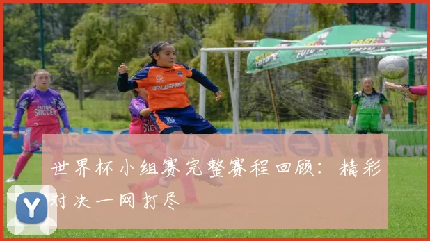 世界杯小组赛完整赛程回顾：精彩对决一网打尽