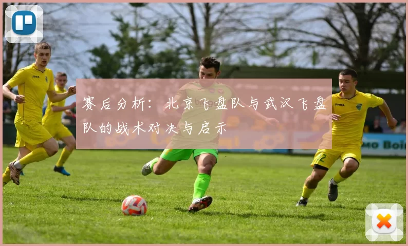 赛后分析:北京飞盘队与武汉飞盘队的战术对决与启示