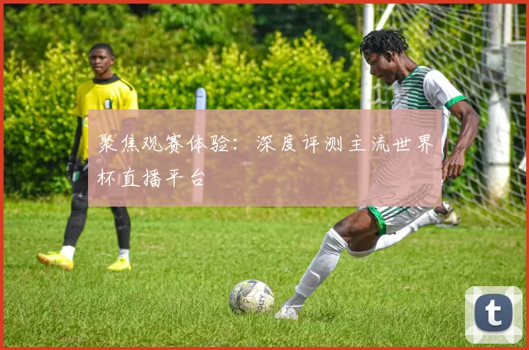 聚焦观赛体验：深度评测主流世界杯直播平台