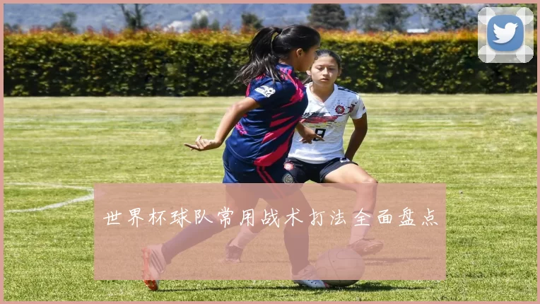 世界杯球队常用战术打法全面盘点