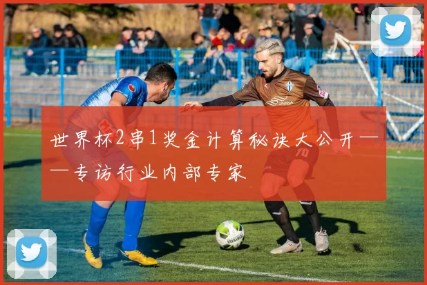 世界杯2串1奖金计算秘诀大公开——专访行业内部专家