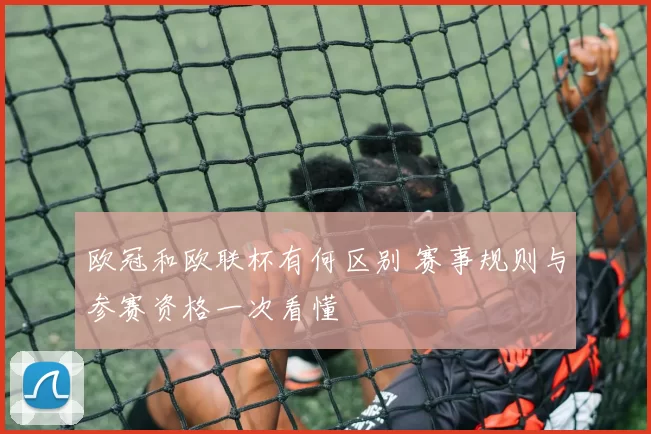 欧冠和欧联杯有何区别 赛事规则与参赛资格一次看懂