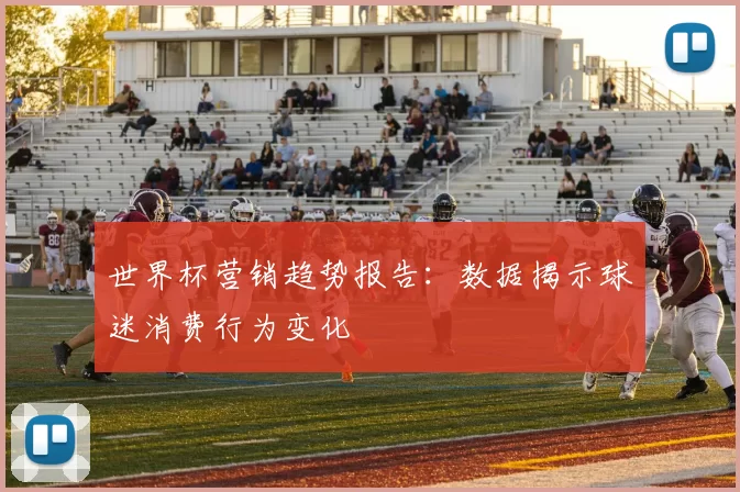 世界杯营销趋势报告:数据揭示球迷消费行为变化