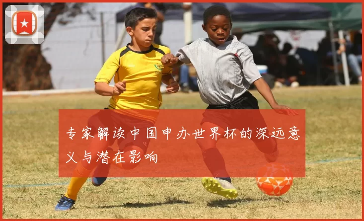 专家解读中国申办世界杯的深远意义与潜在影响