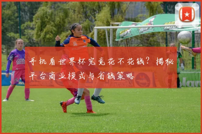 手机看世界杯究竟花不花钱？揭秘平台商业模式与省钱策略