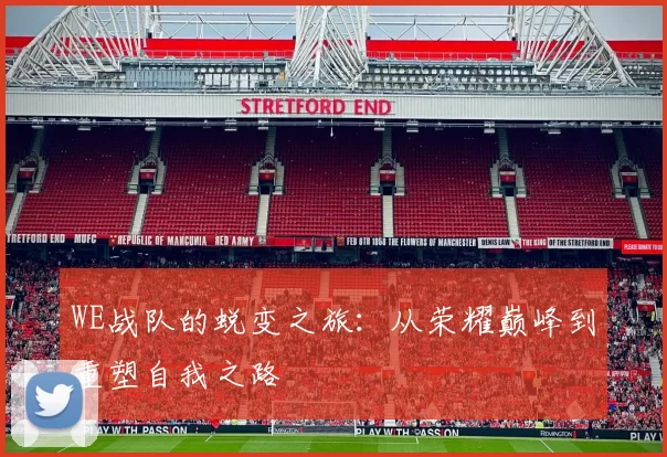 WE战队的蜕变之旅:从荣耀巅峰到重塑自我之路