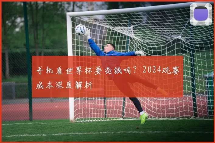 手机看世界杯要花钱吗？2024观赛成本深度解析