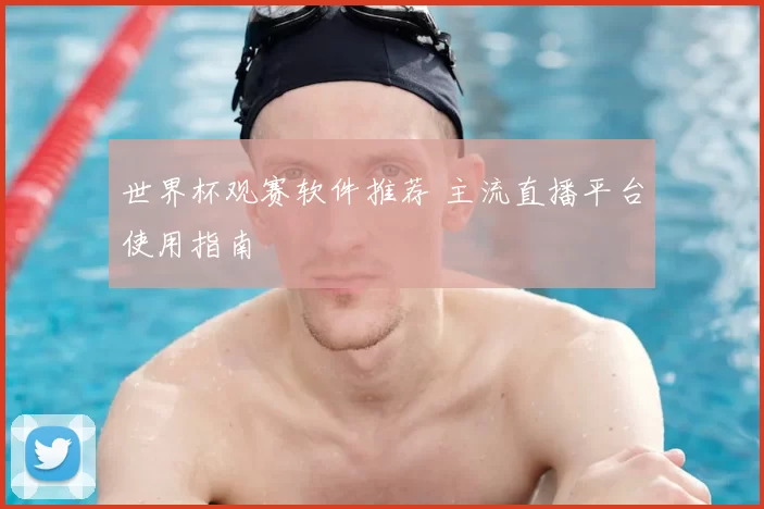 世界杯观赛软件推荐 主流直播平台使用指南