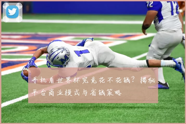手机看世界杯究竟花不花钱？揭秘平台商业模式与省钱策略