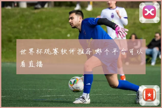 世界杯观赛软件推荐 哪个平台可以看直播
