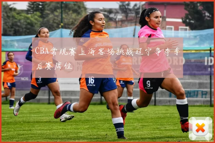 CBA常规赛上海客场挑战辽宁争夺季后赛席位